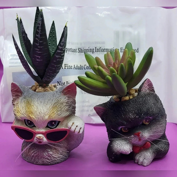 The Bradford Exchange Other - Bradford Exchange Humbugs & Spike Cat Planters Succulents
